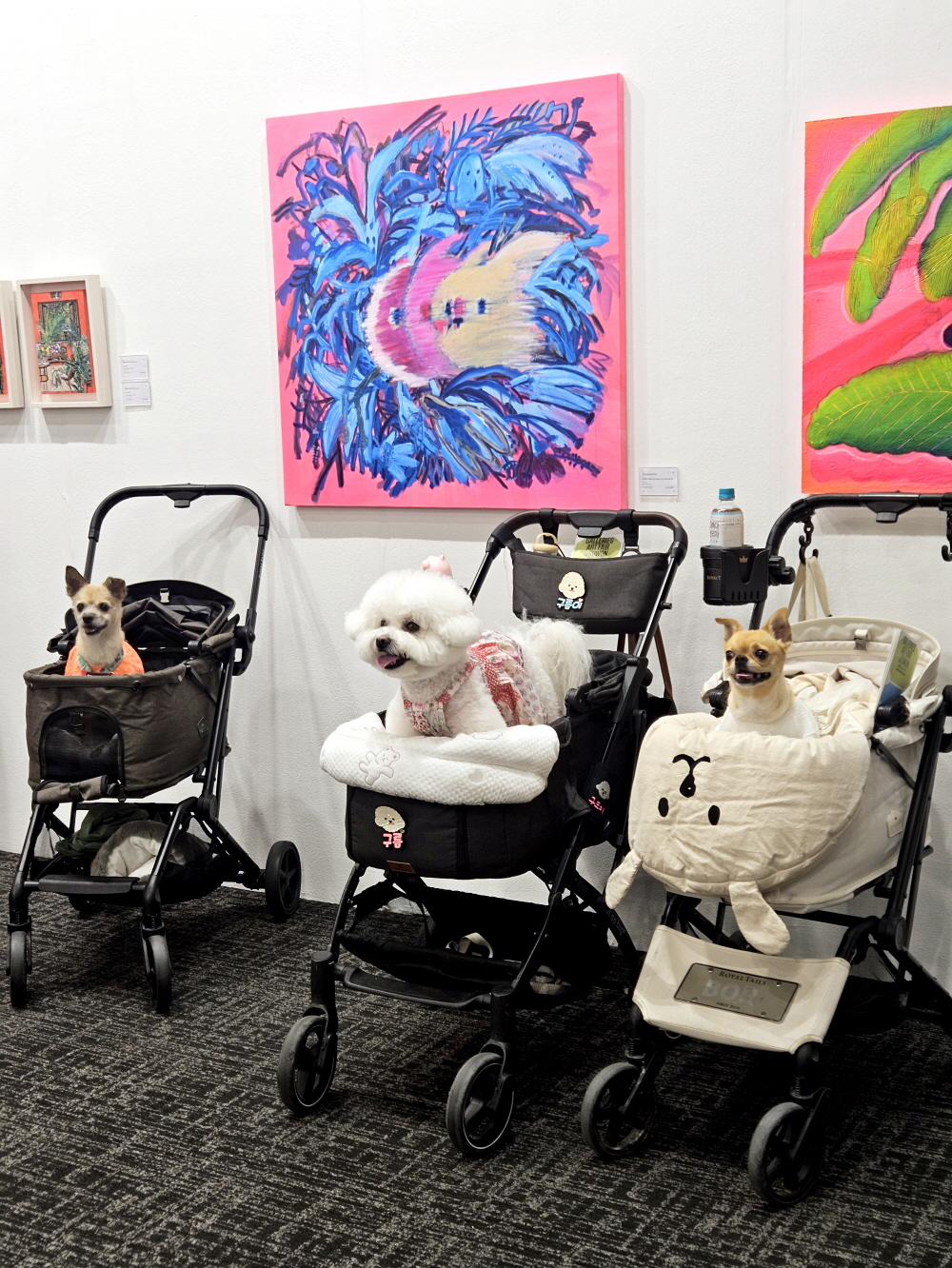 , Installation View