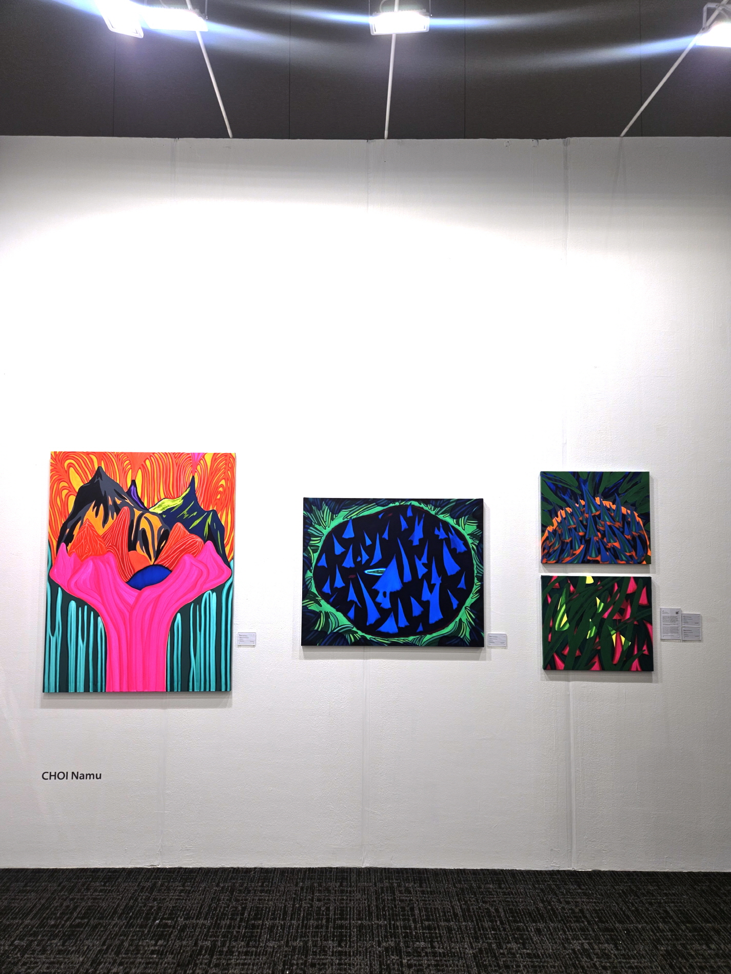, Installation View