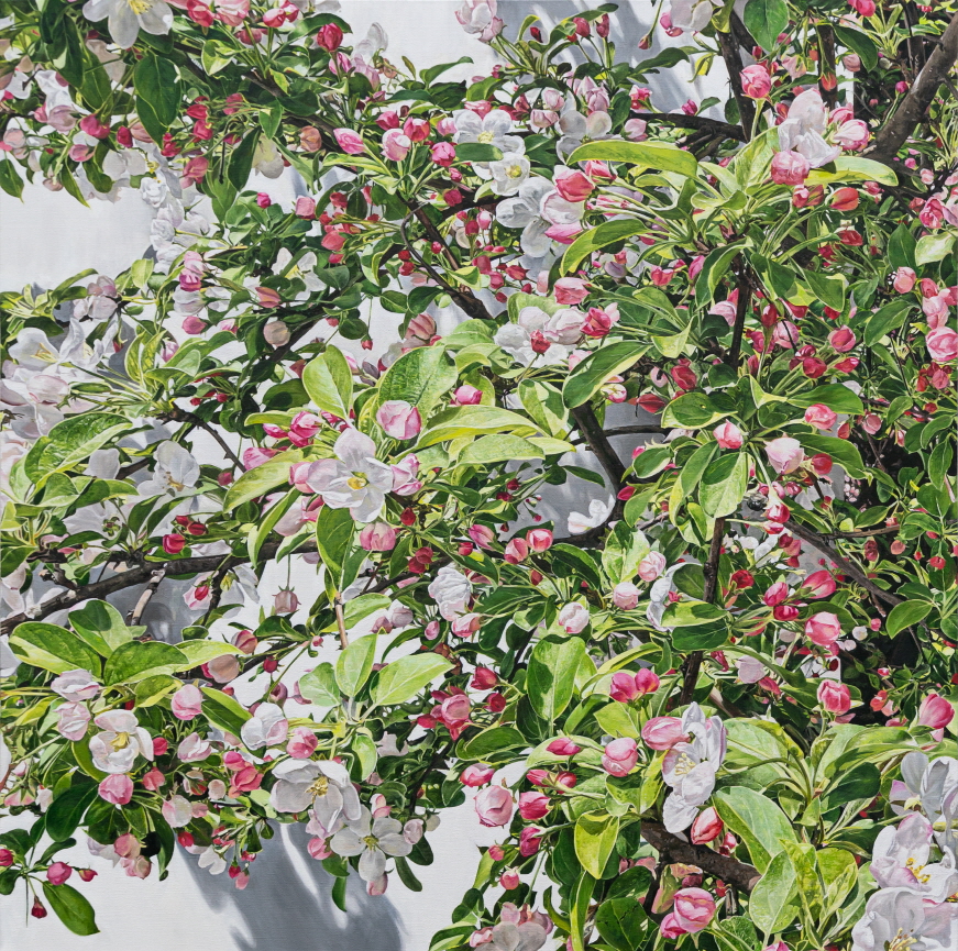 2025_01, 97×97(60호 s), oil on linen, 2025