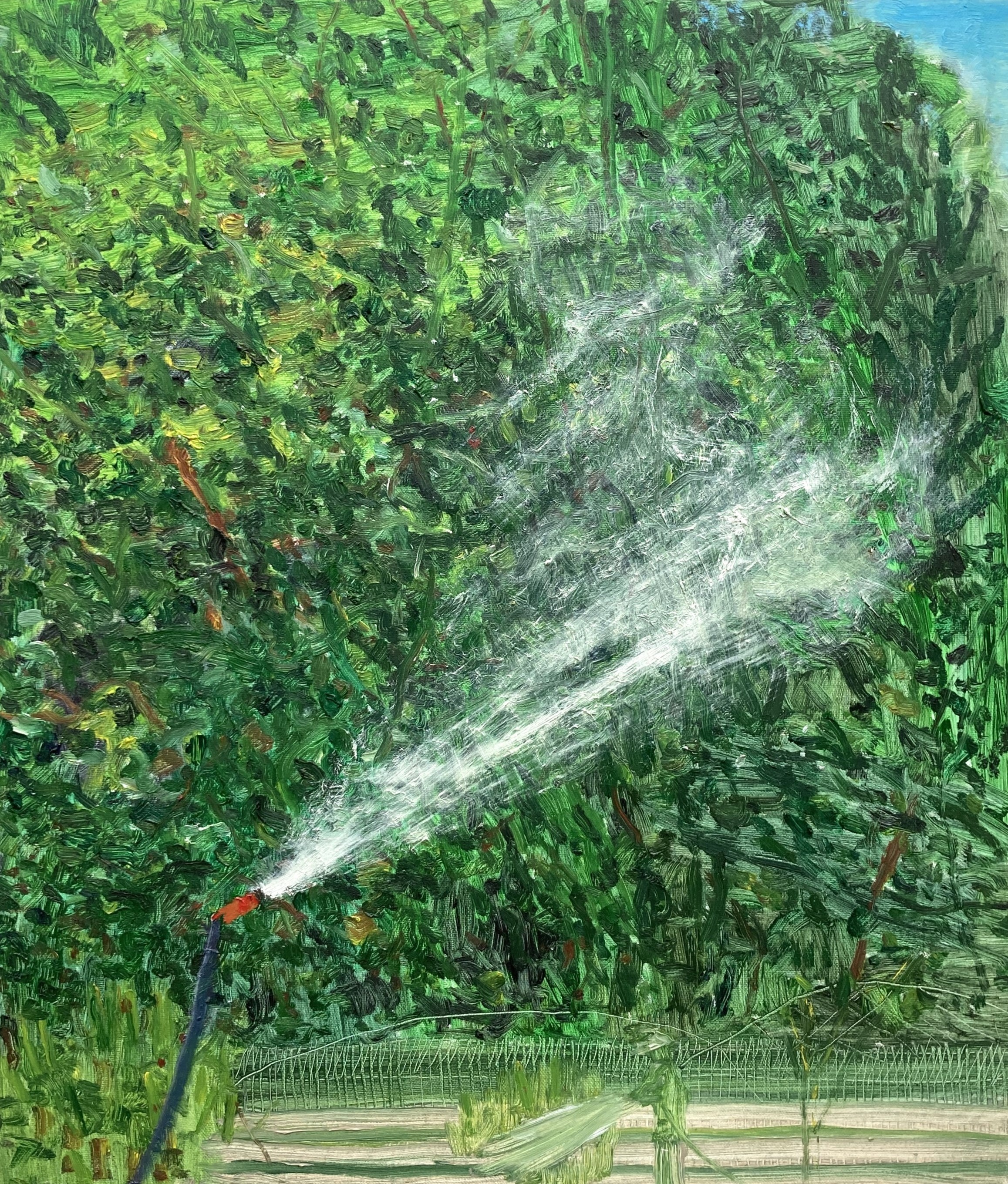 하얀 물줄기, oil on canvas, 53x 45.5cm, 2025