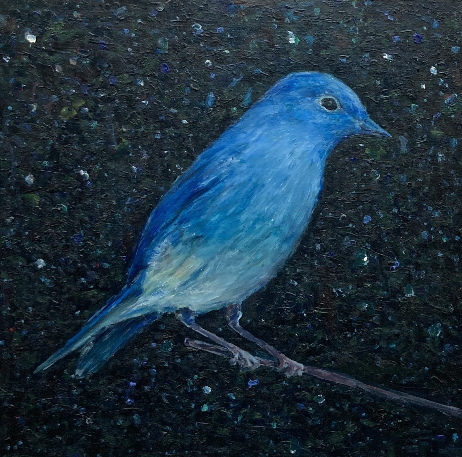 bird, oil on canvas, 50x50cm, 2023