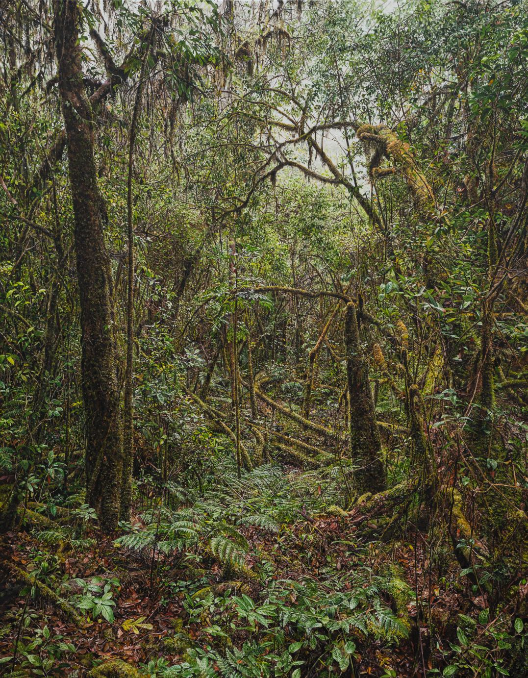 2026_03

2026
Oil on canvas
117×91cm