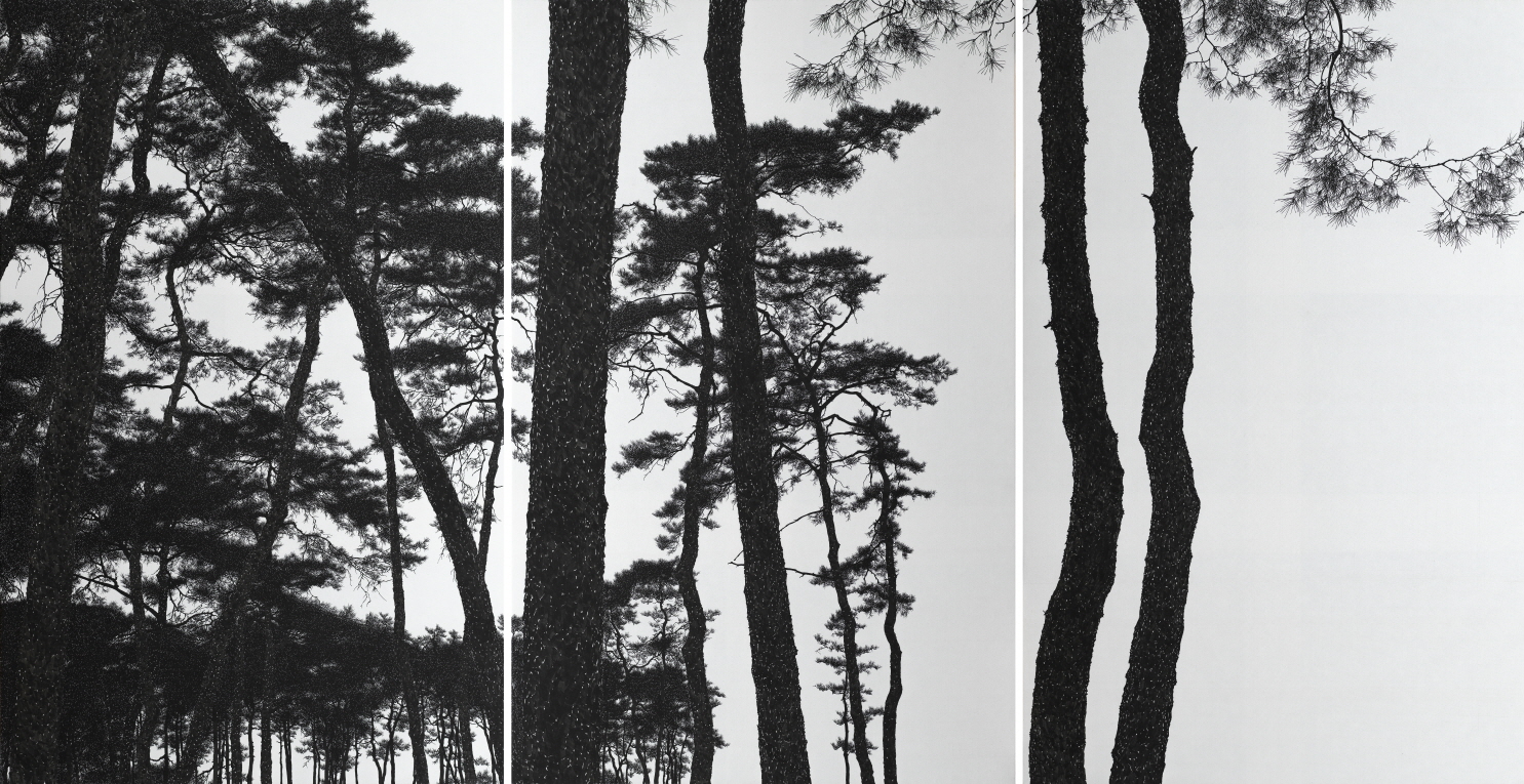 Pine Grove_180x345cm_비단에 수묵_2019