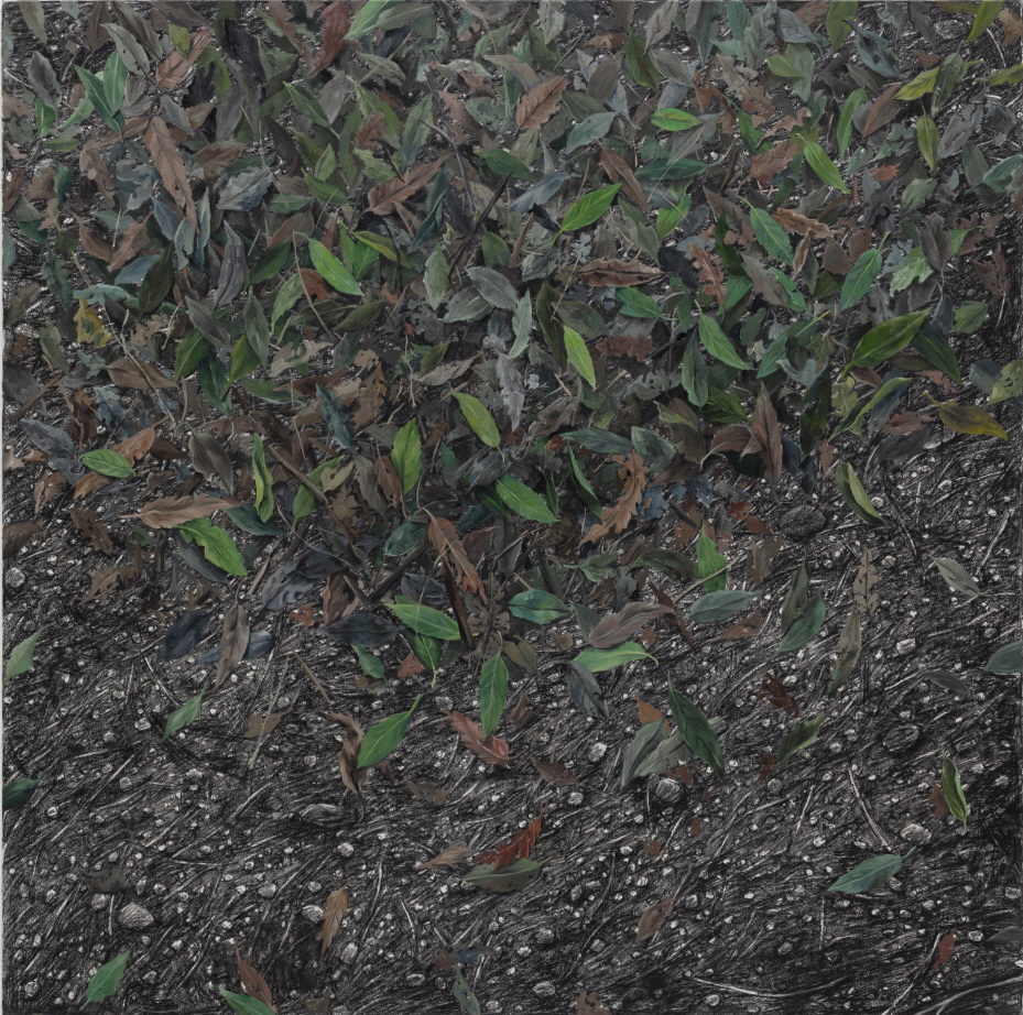 가시나무산책길, 97x97cm, charcoal & oil on canvas, 2020