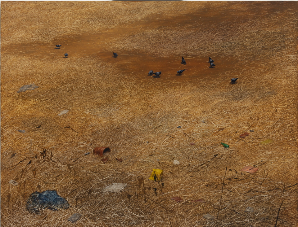 공터비둘기, 112x145.5cm, oil on canvas, 2020