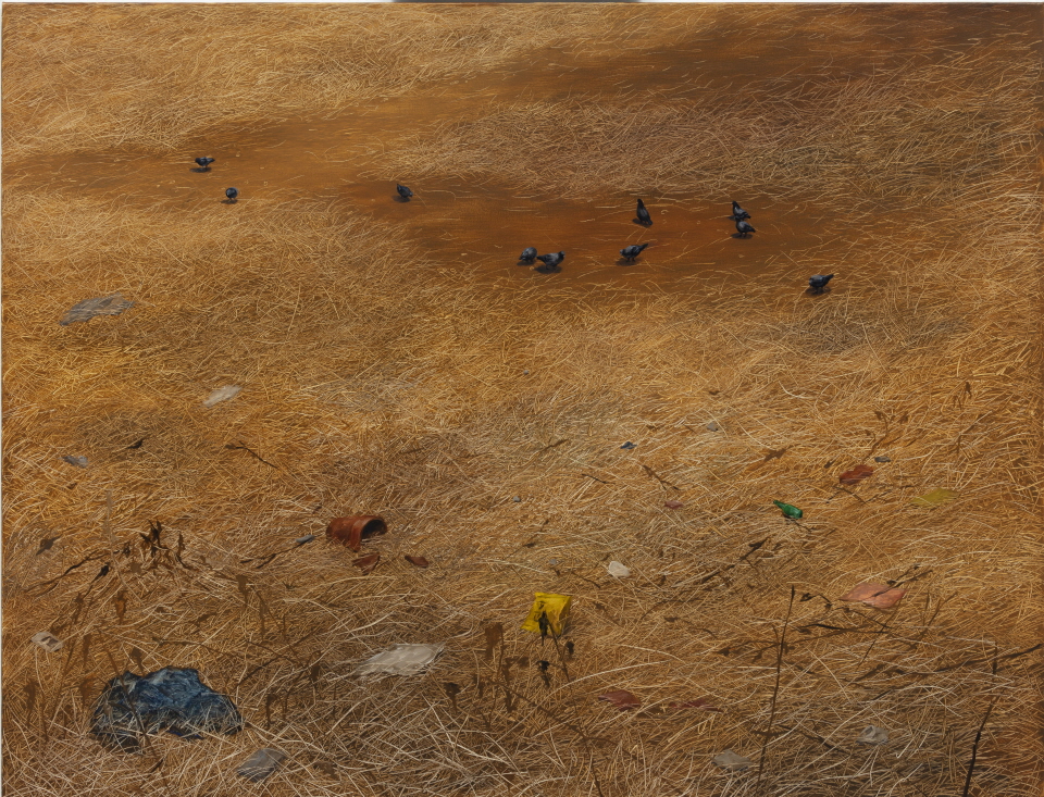 공터비둘기, 112x145.5cm, oil on canvas, 2020