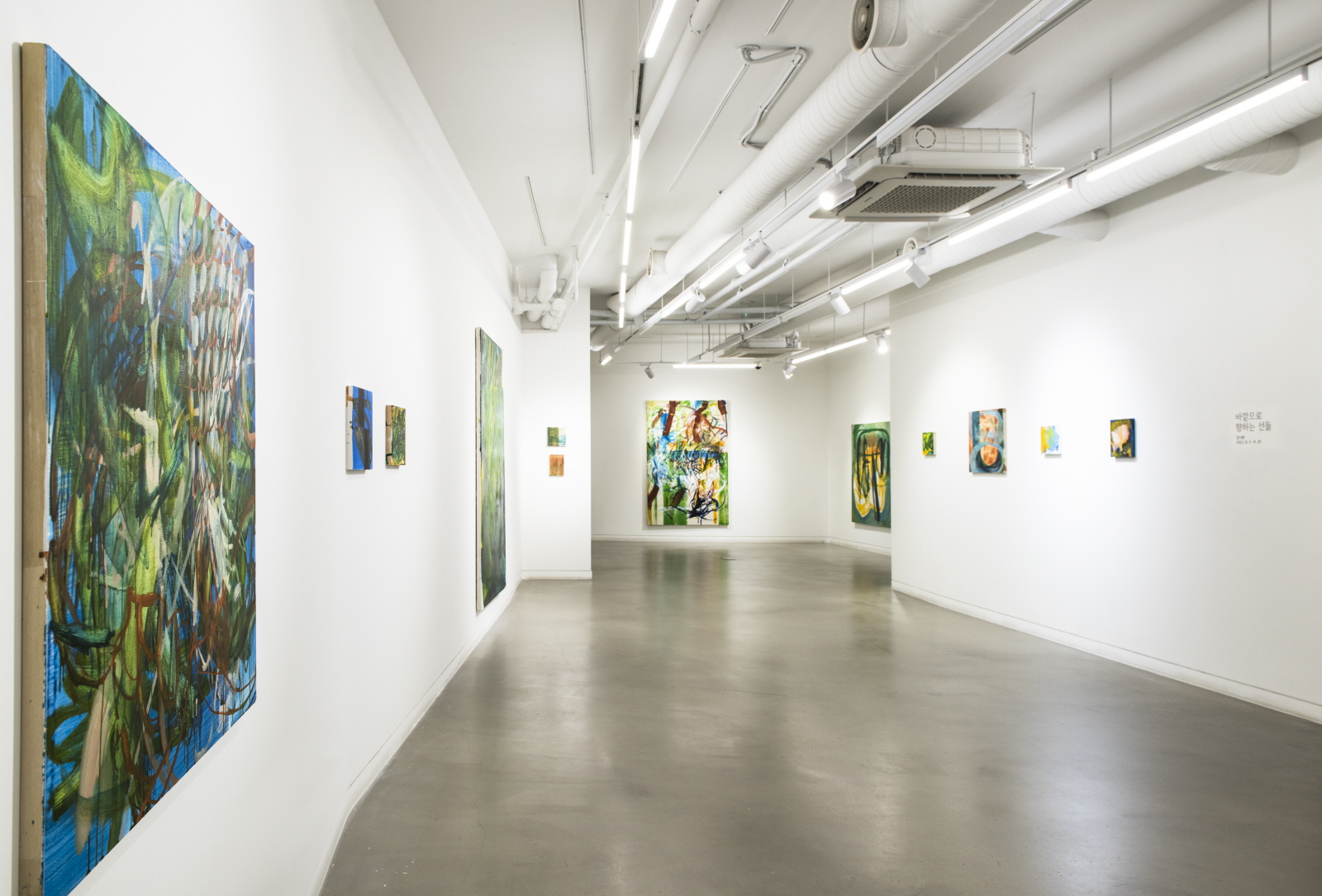 김시원, Installation View