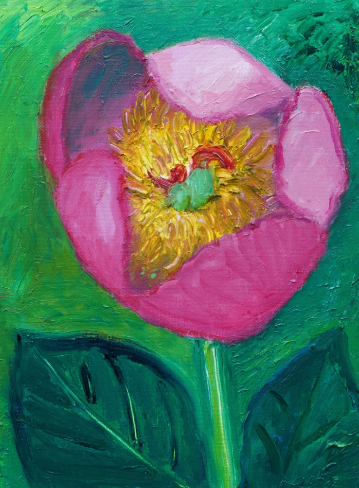 마지막 꽃-산작약 34x 25cm oil on canvas 2022