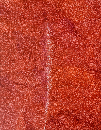 정정엽 red bean-beside,91x116.8cm oil on canvas 2012