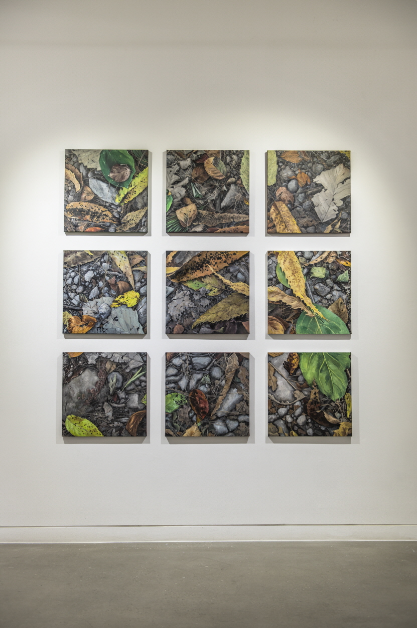 Lee Kyoungha, Installation View