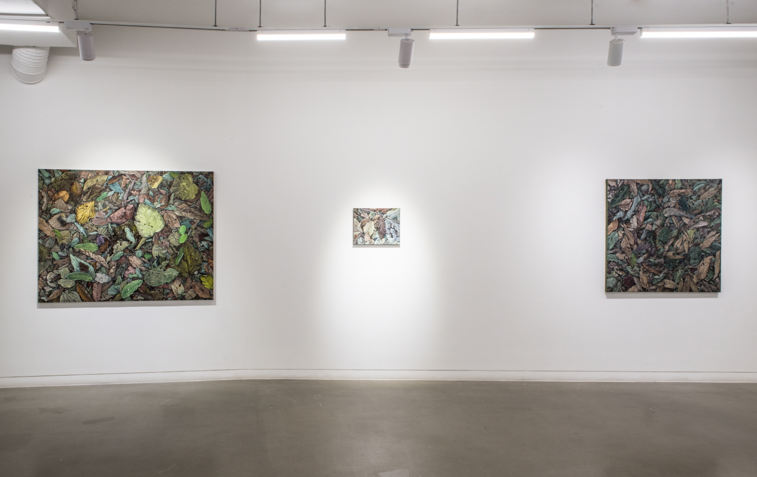 Lee Kyoungha, Installation View