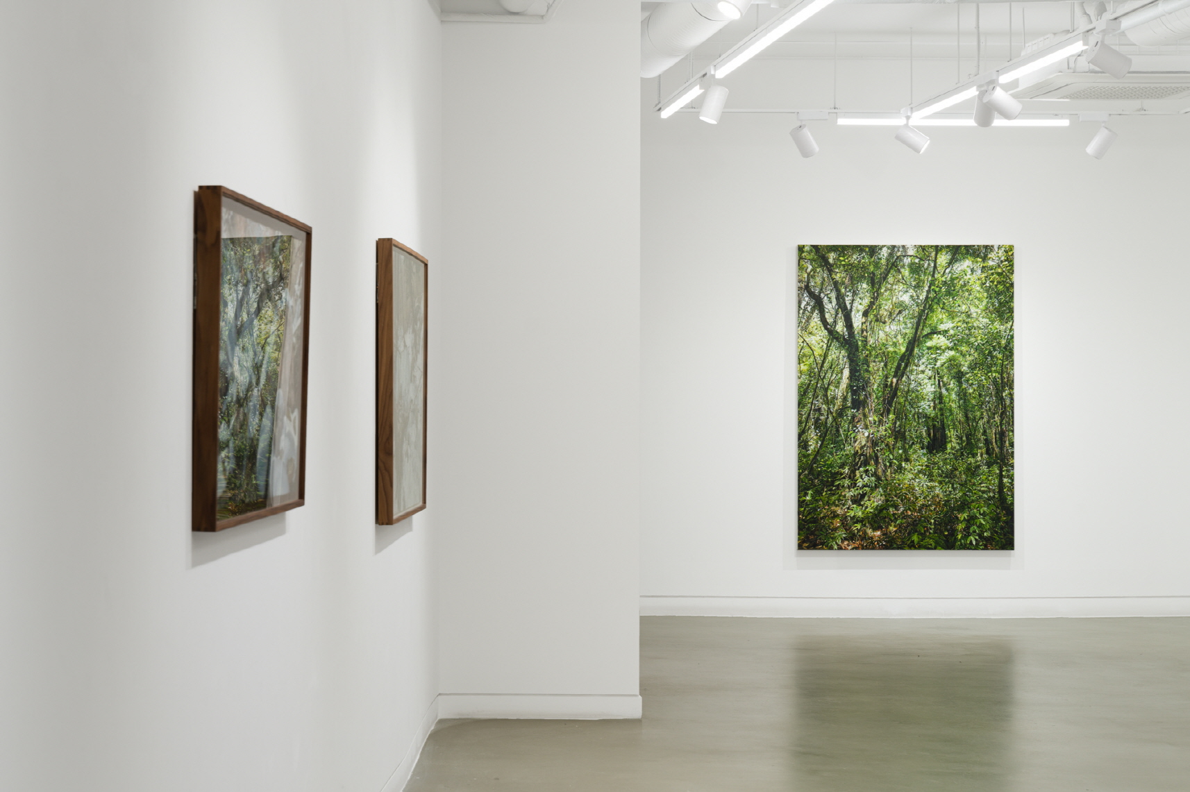Noh Kyounghee, Installation View. photo by Lee Jungwoo