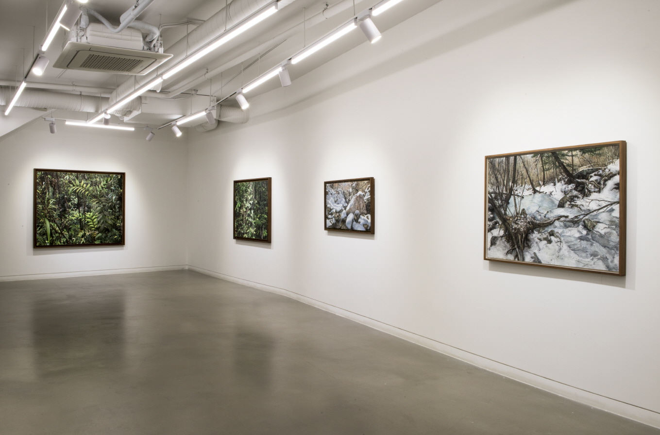 Noh Kyounghee, Installation View