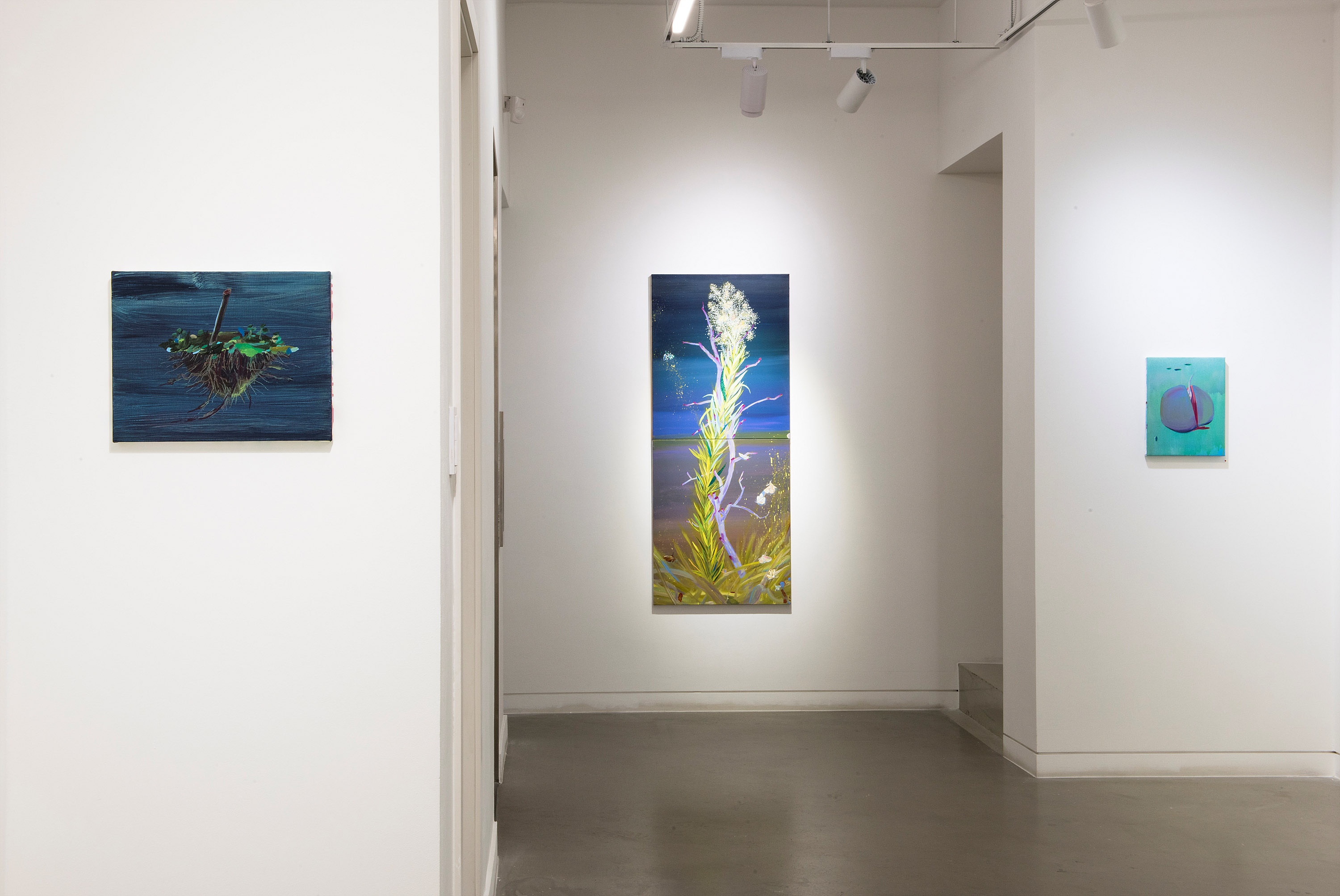 Bae Mijung, Installation View