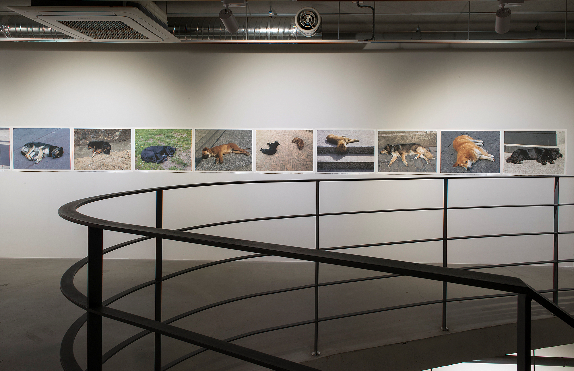 Yoon Dongchun, Installation View