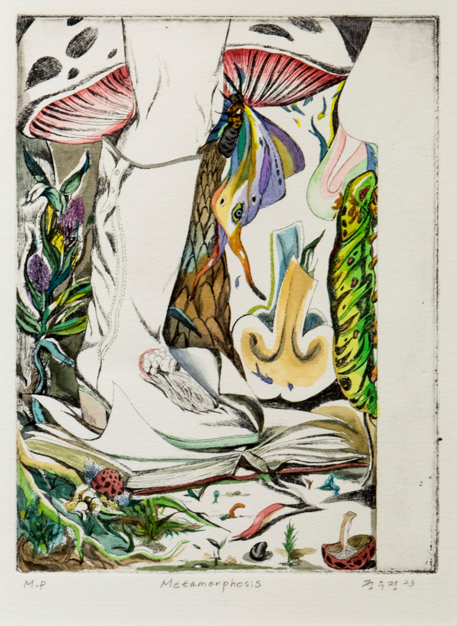 [정수정] Metamorphosis, 2023, etching and watercolor on paper, 19.5 x 15cm