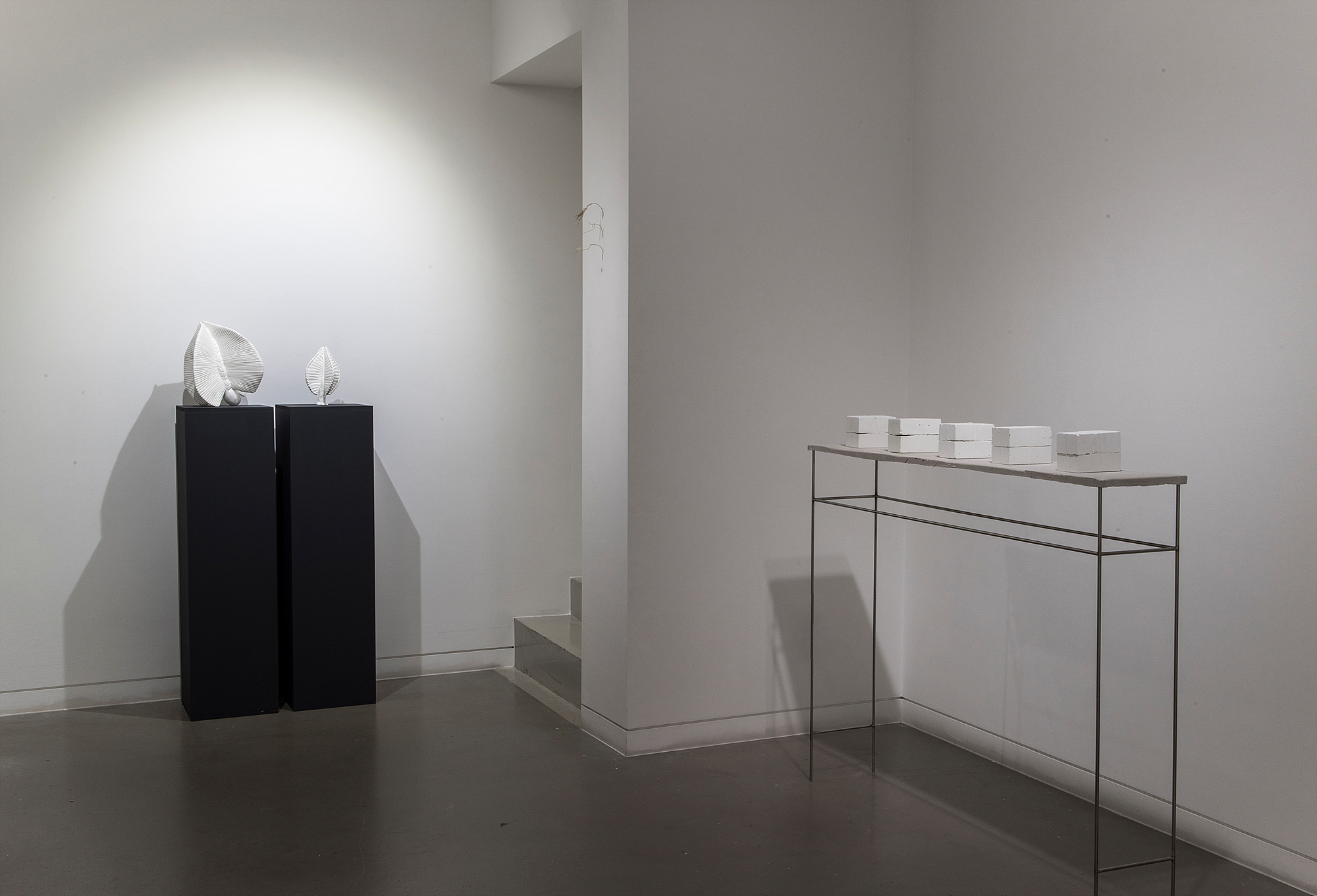 Kim Euysun, Son Heemin, Hur Yeonhwa, Installation View