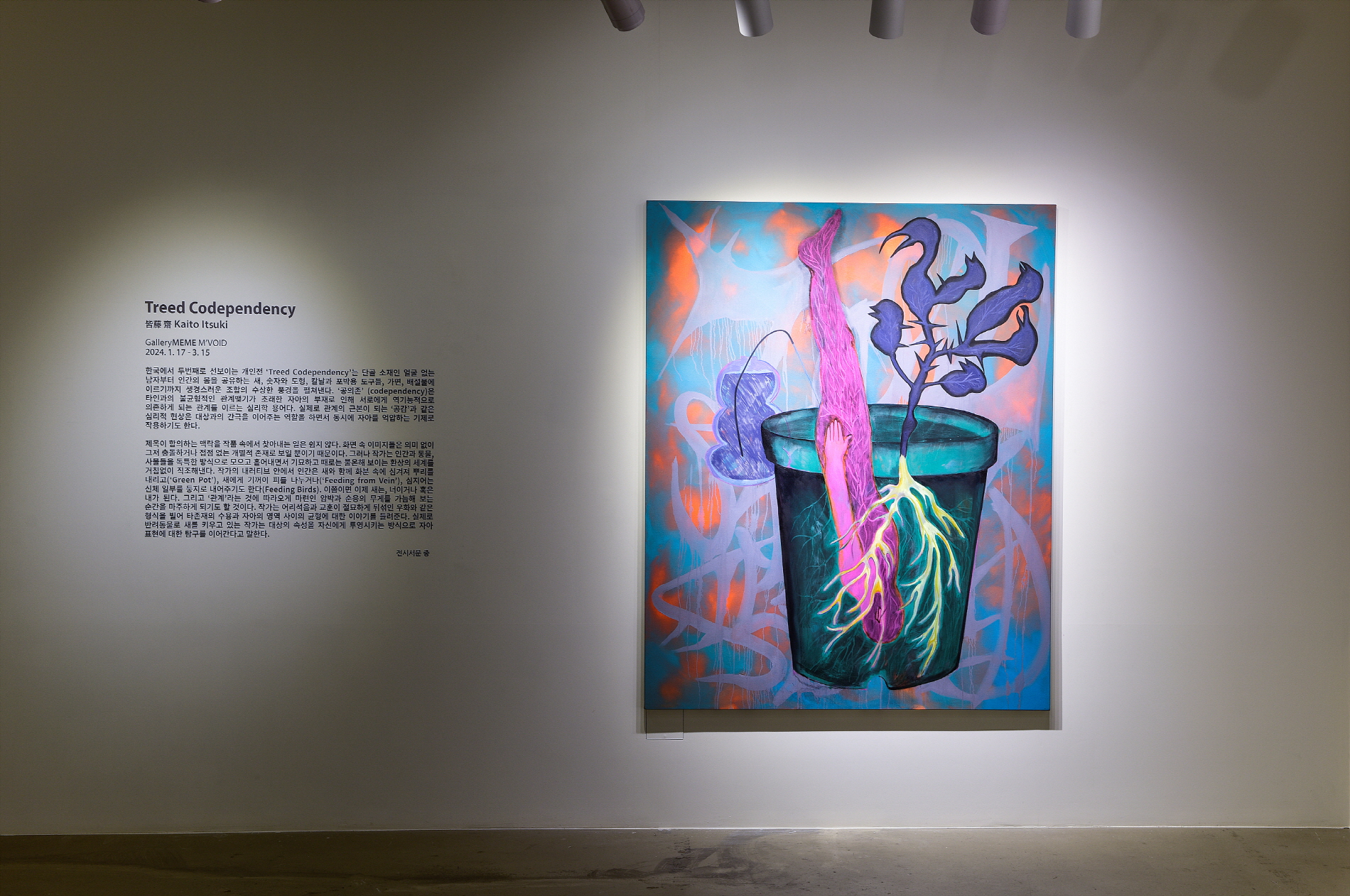 Kaito Itsuki, Installation View