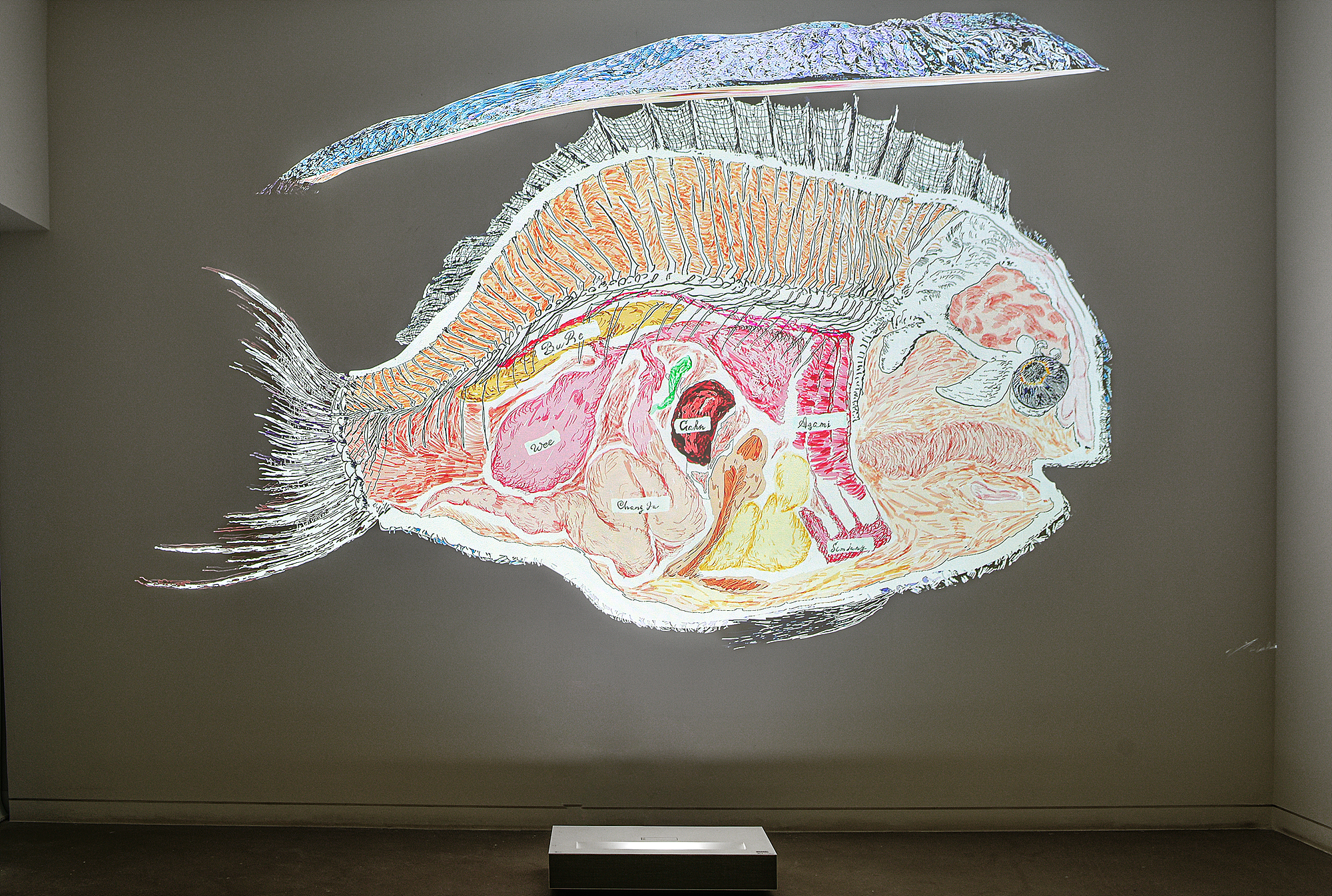 Lee Seunghoon, Installation View