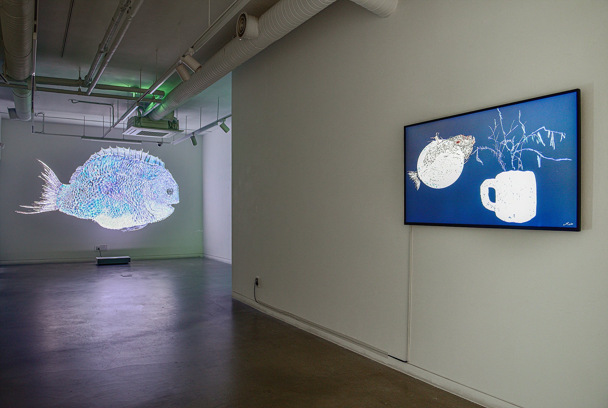 Lee Seunghoon, Installation View