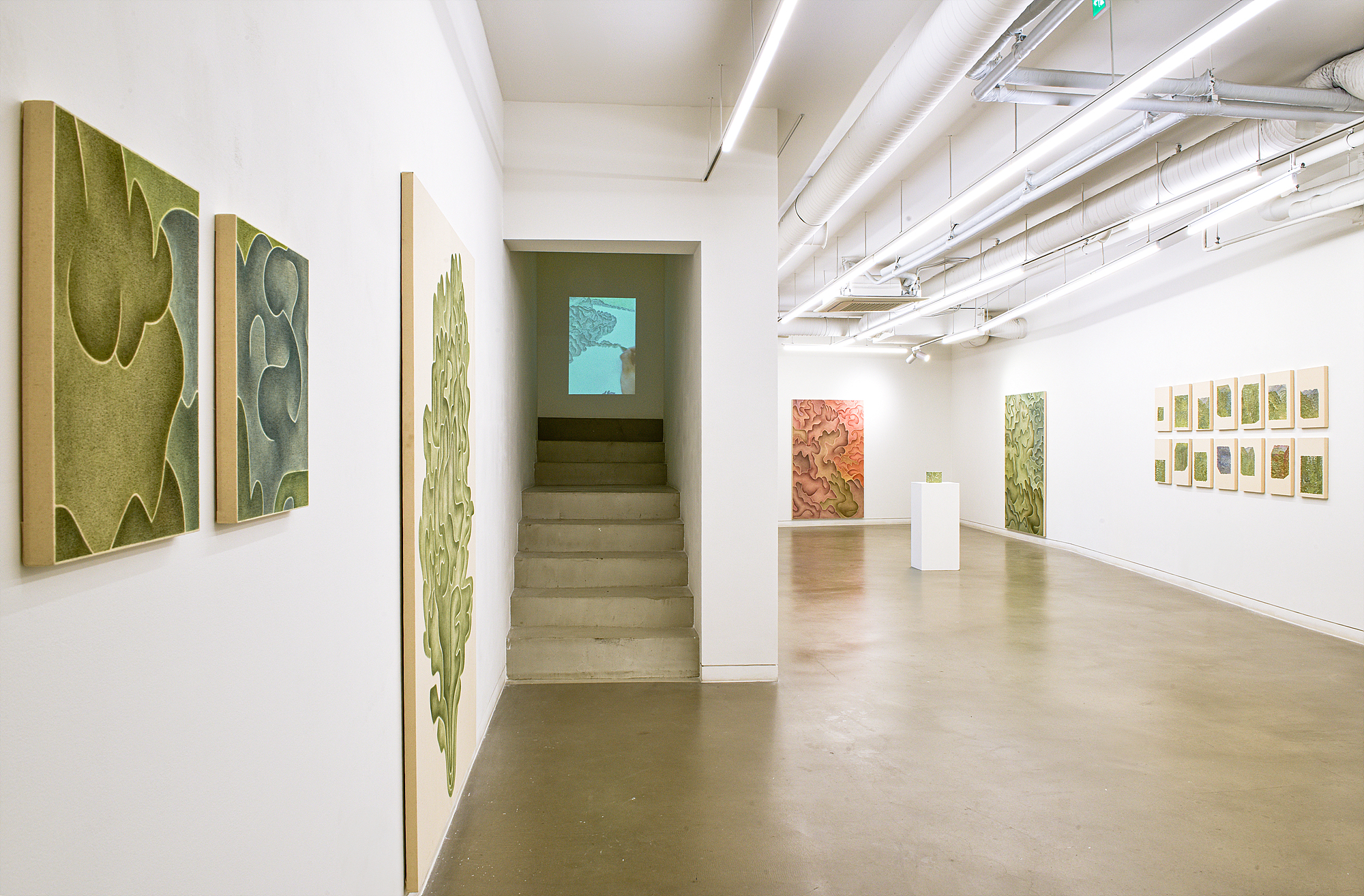 Hwang Soyoung, Hwang Soyoung, Installation View