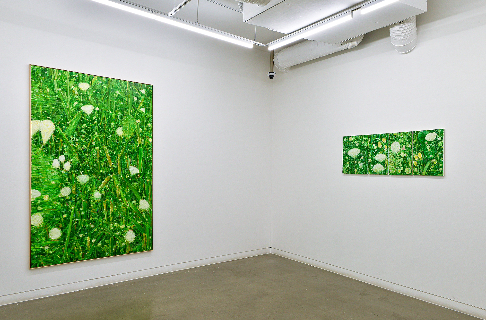Hwang Hoseok, Installation View