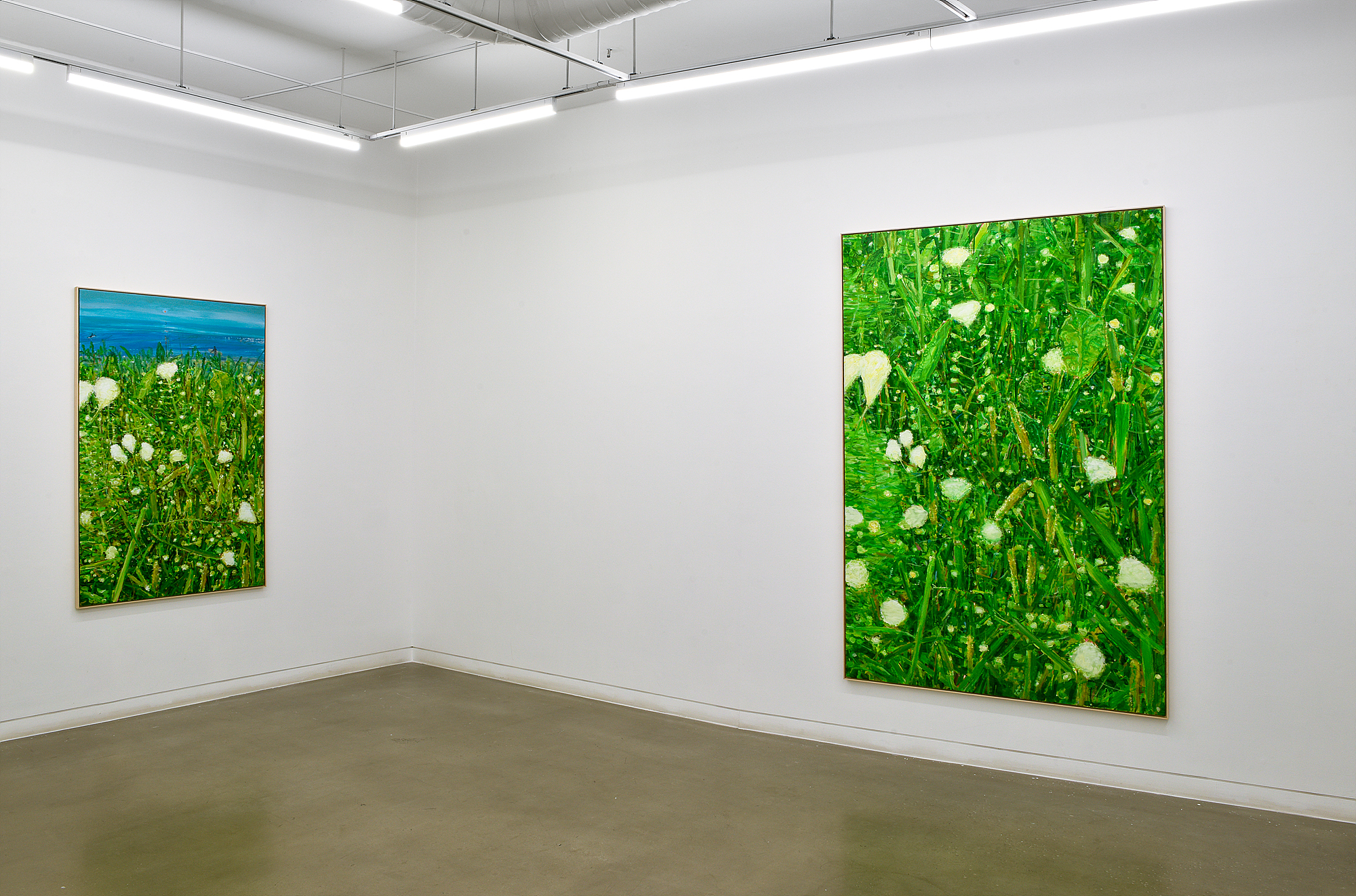 Hwang Hoseok, Installation View