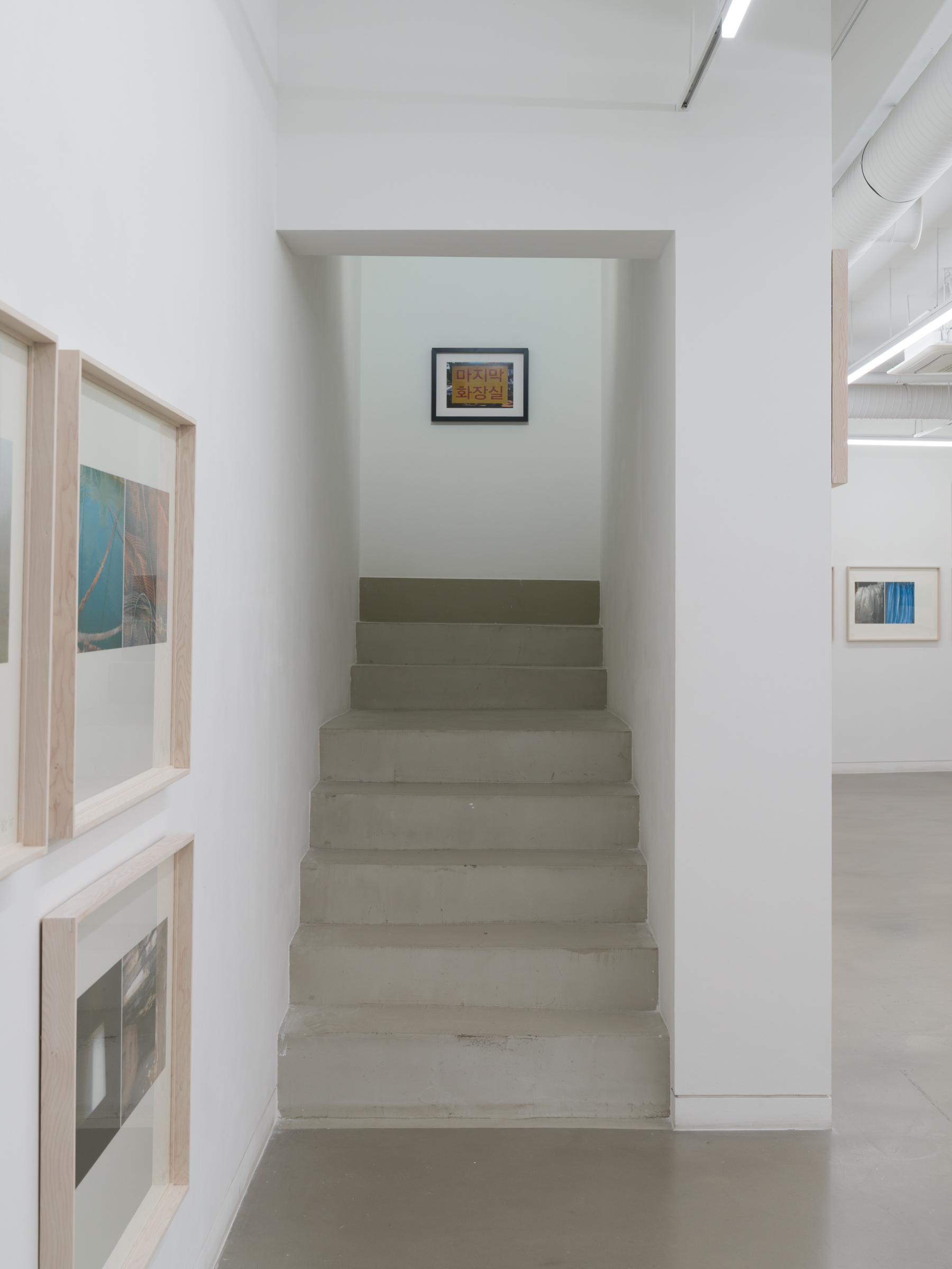 Yoon Dongchun, 《시시·미미》, 4F Gallery, Installation View