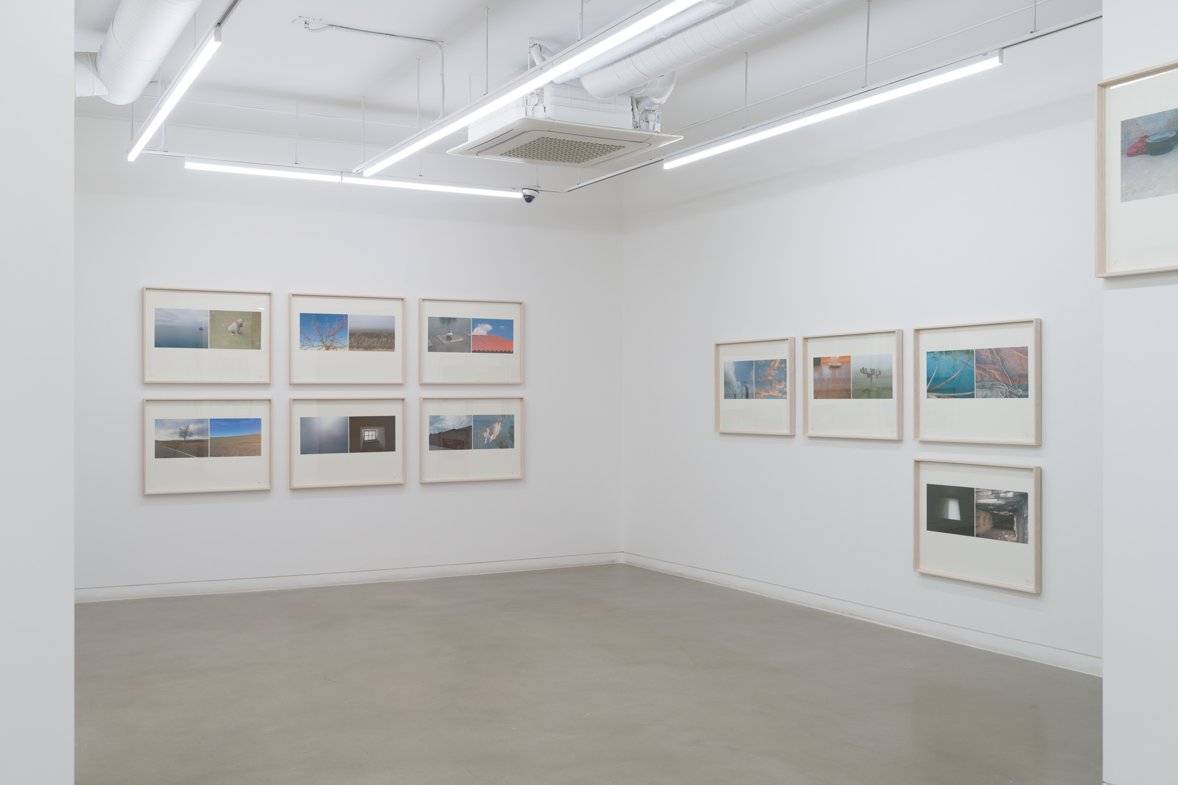 Yoon Dongchun, 《시시·미미》, 4F Gallery, Installation View