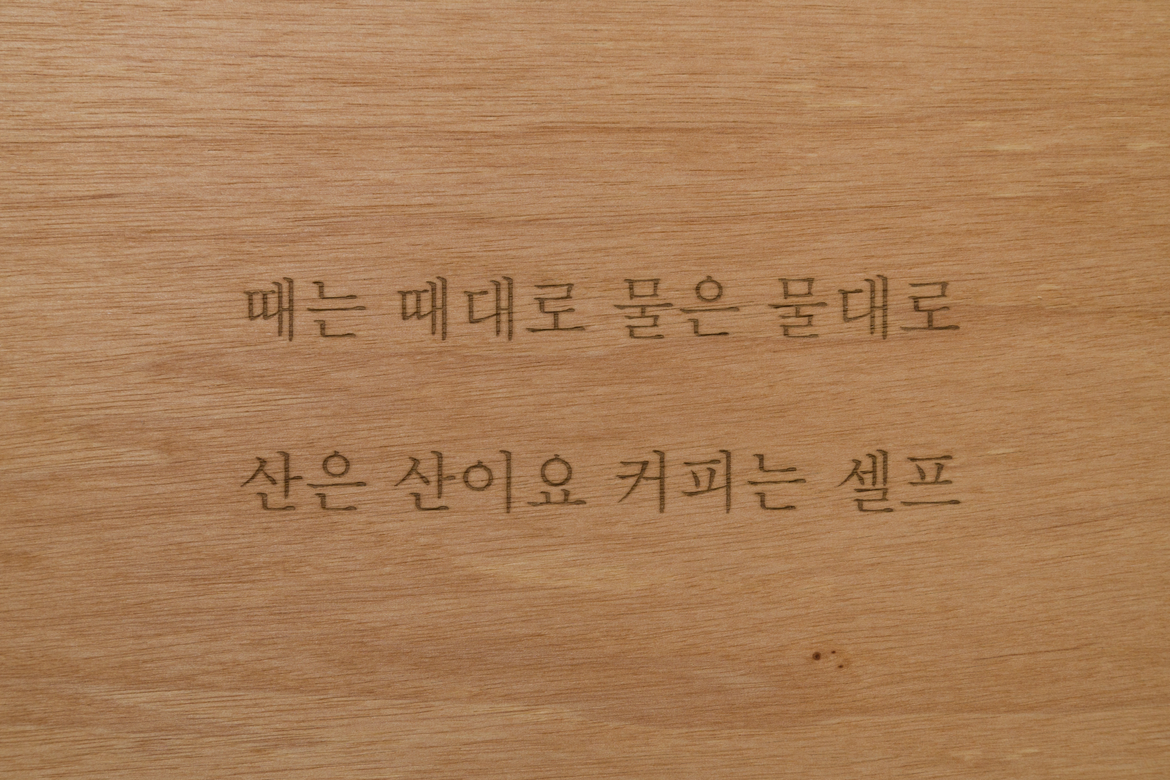 익숙한 문구들 연작 12점, 합판에 레이저, 각 29.7x42cm, 2025