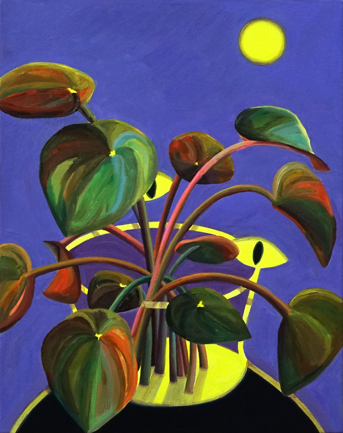 달빛 페페_oil on canvas_34.8x27.3cm_2026