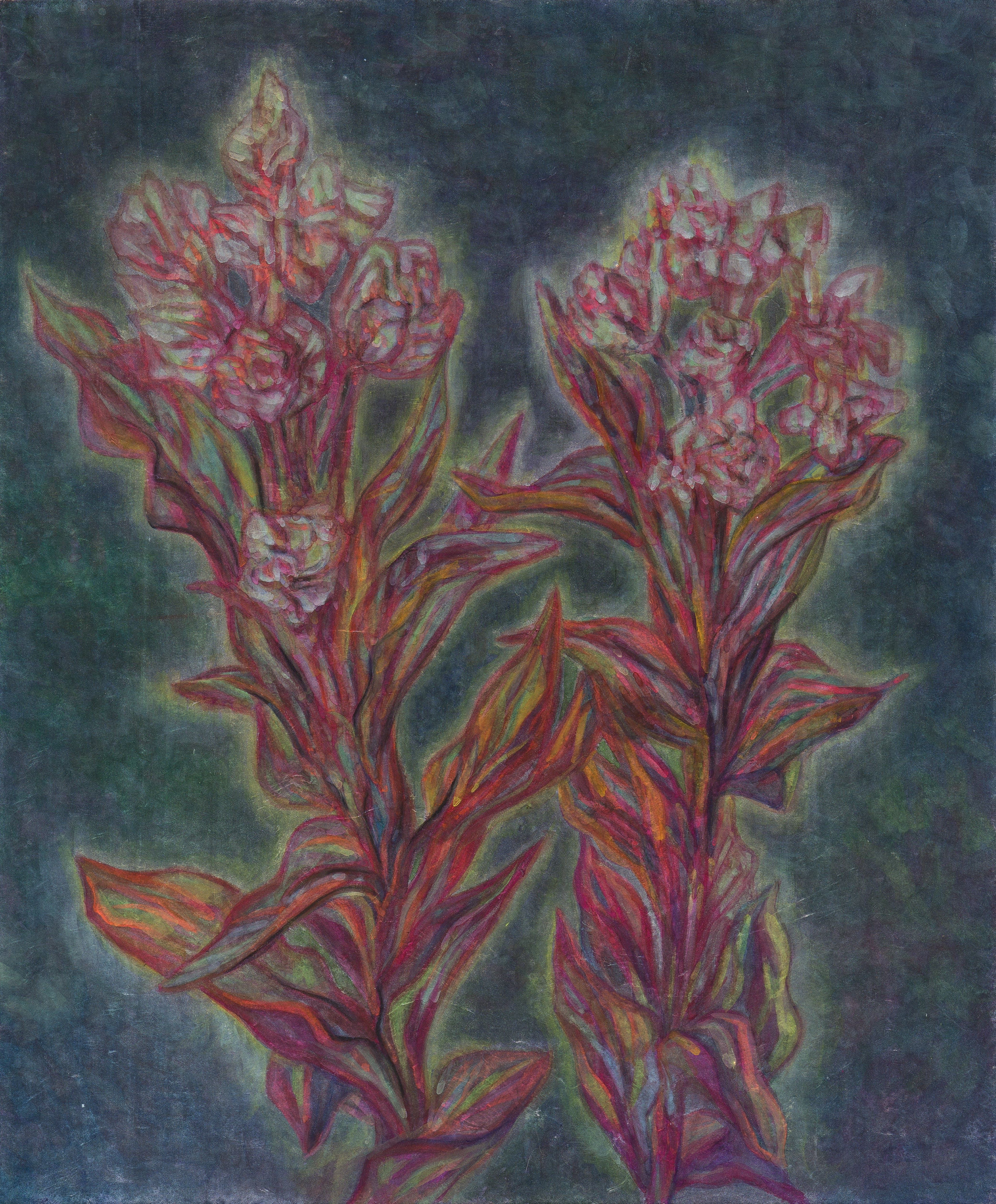 새벽의 왕-금난초, 장지에 주묵, 분채, 콘테, 45.5x37.9cm, 2025