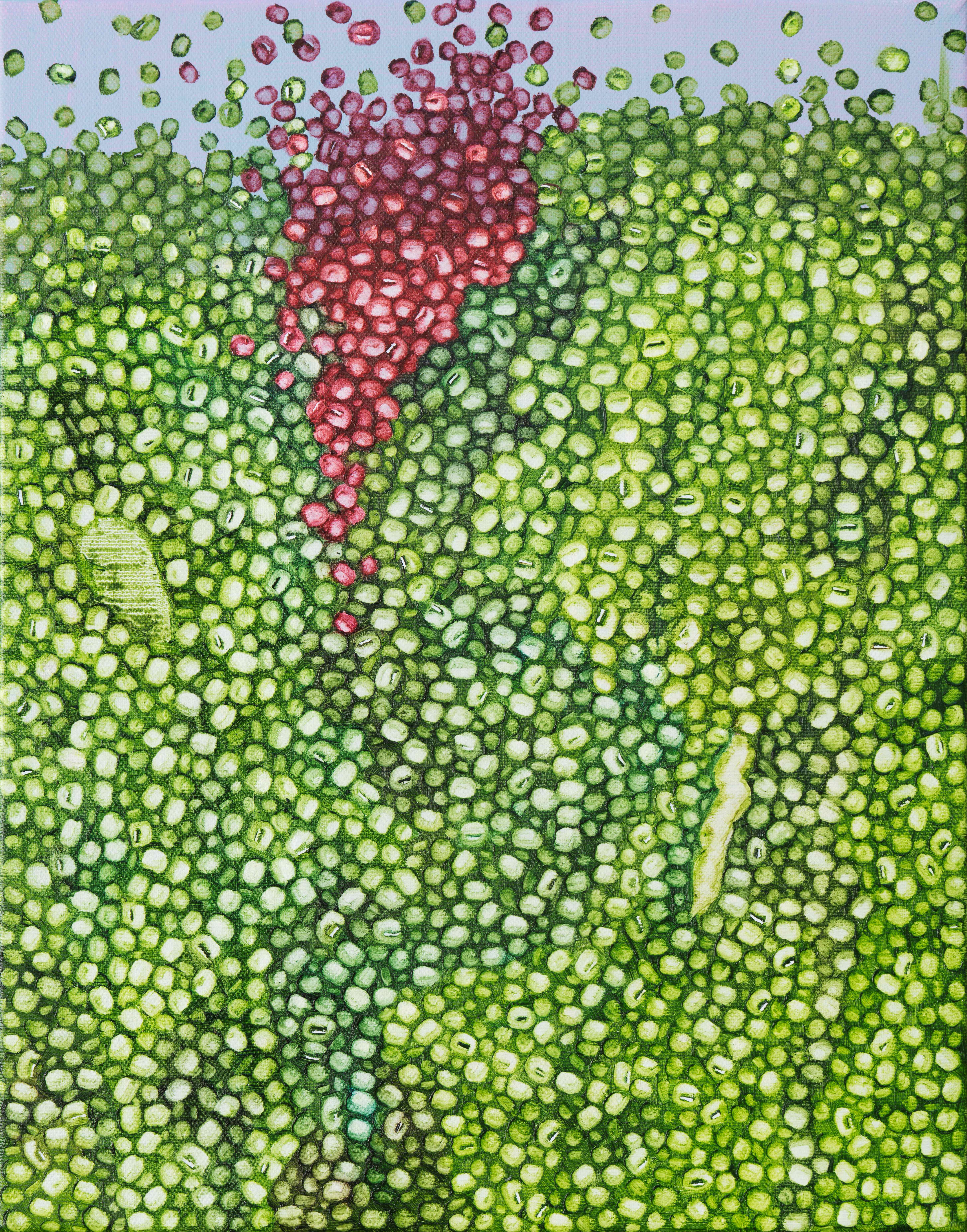 seed67, 2025, 캔버스에 유화, 35x27.3cm