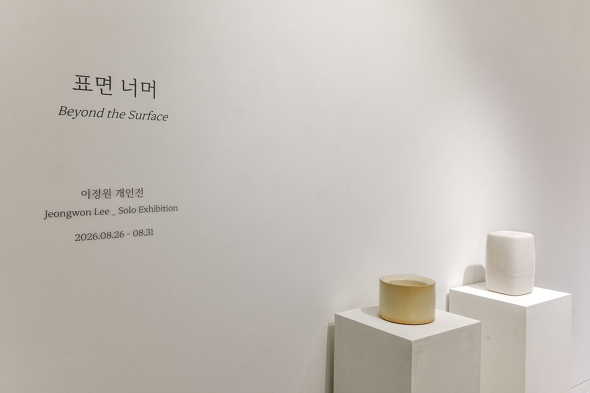 Lee Jeongwon, 《표면 너머》, Installation View