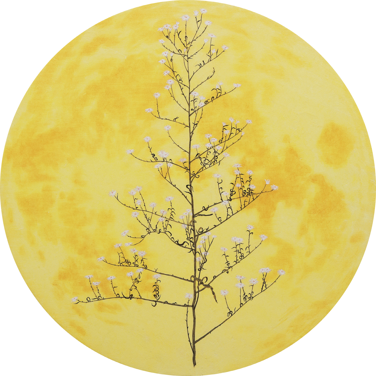 달과 잡초들3 (The moon and weeds), diameter50cm, 장지에 채색, 2022
