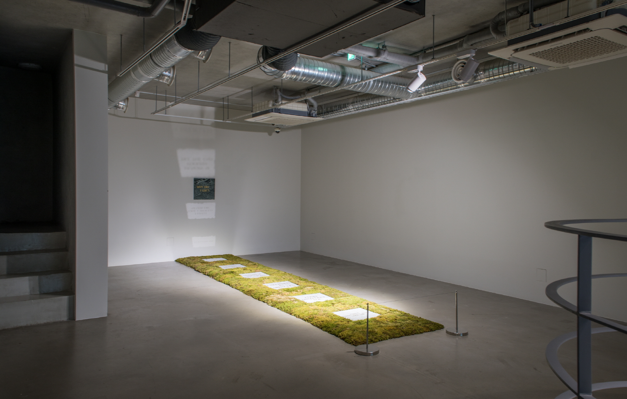 Tim Bengel, Tim Bengel, Installation View