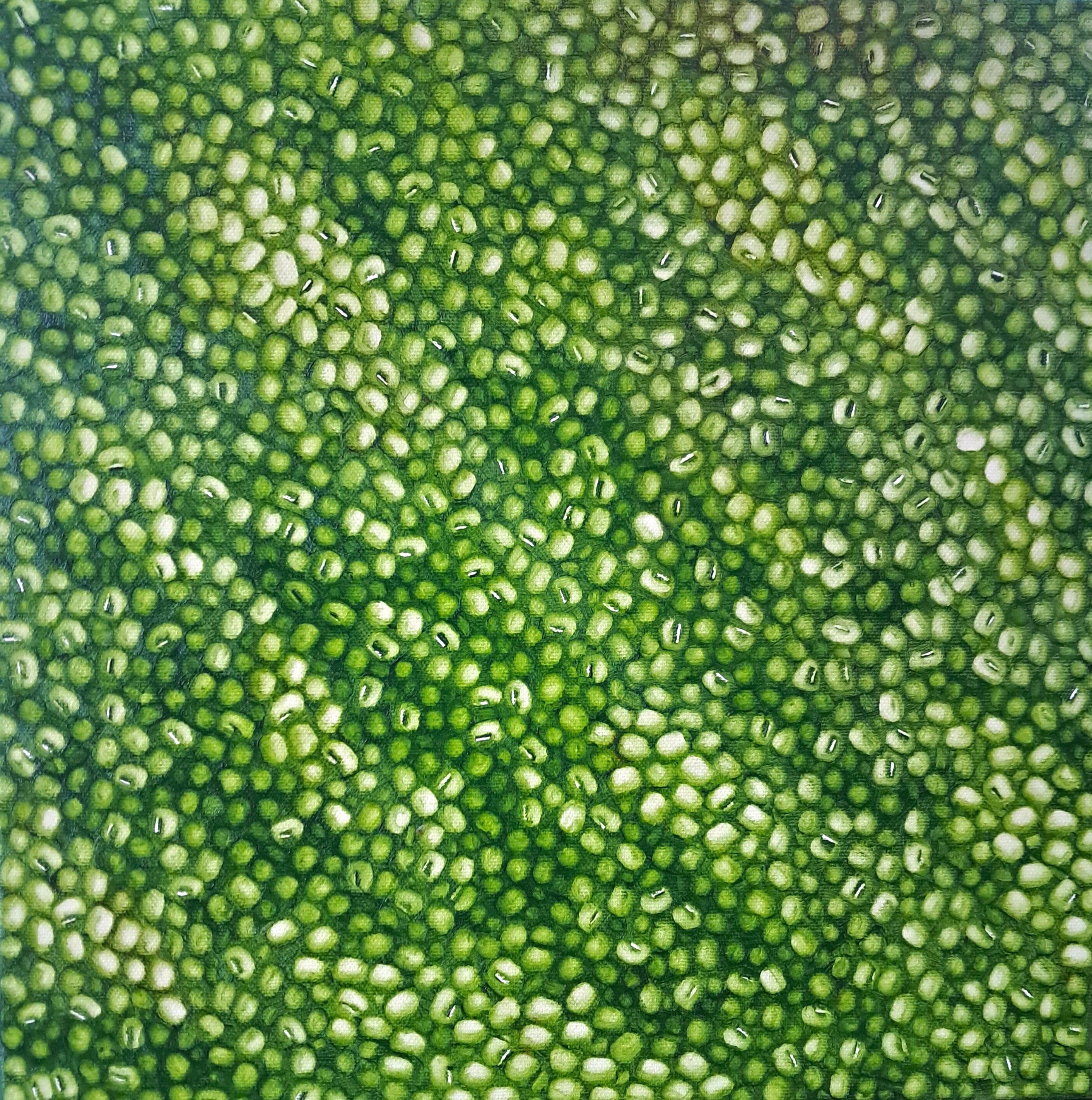 Jung Jungyeob, Oil on canvas, 30x30cm, 2024