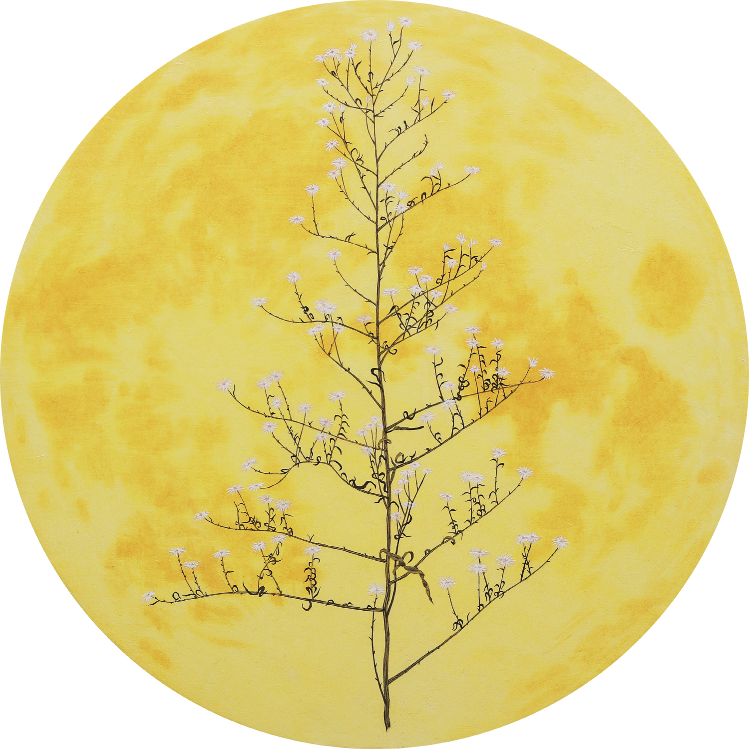 3F Gallery, M'cube 손승범, 달과 잡초들3 (The moon and weeds), diameter50cm, 장지에 채색, 2022