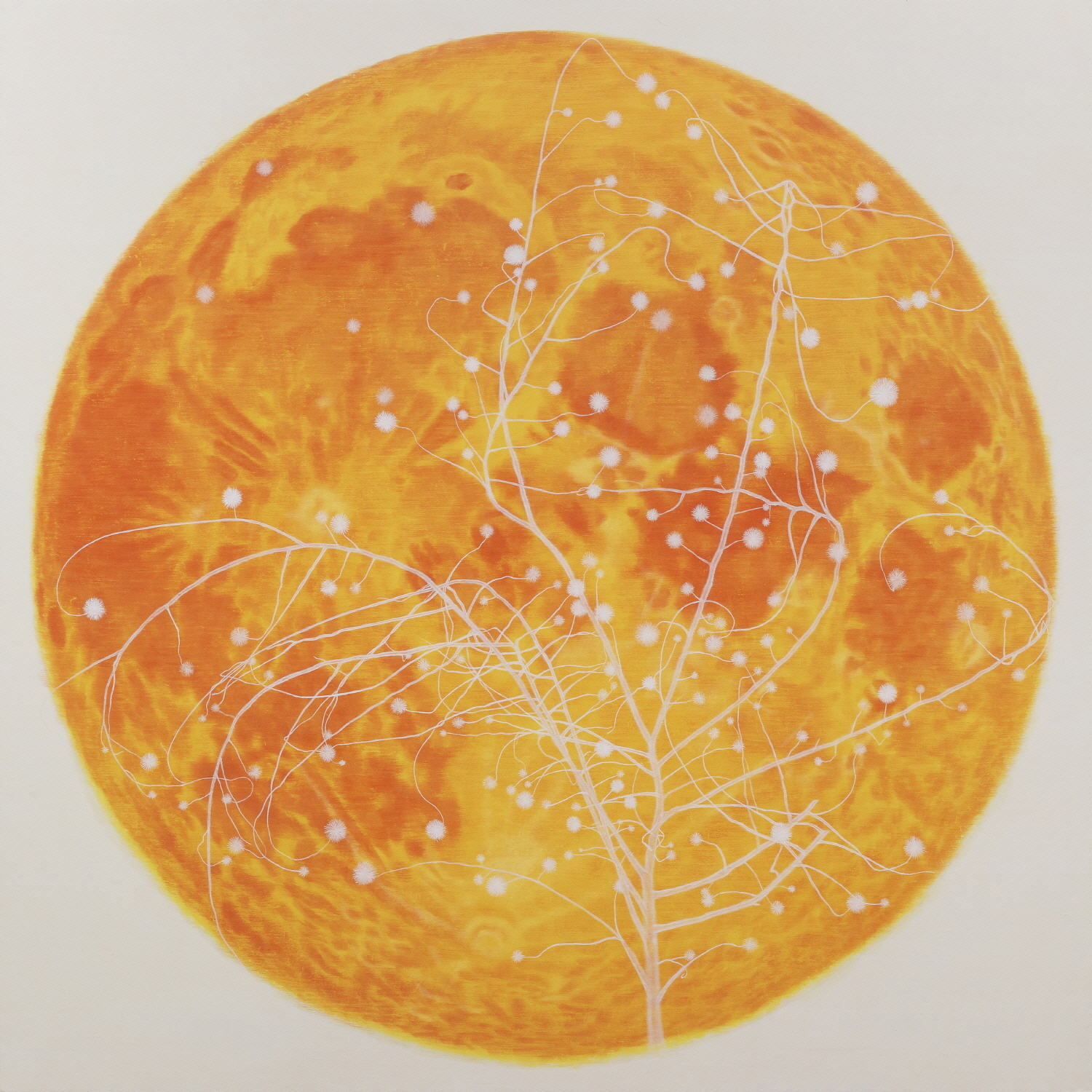 3F Gallery, M'cube 손승범, 만월 (The full moon) 130×130cm 장지에 채색 2022