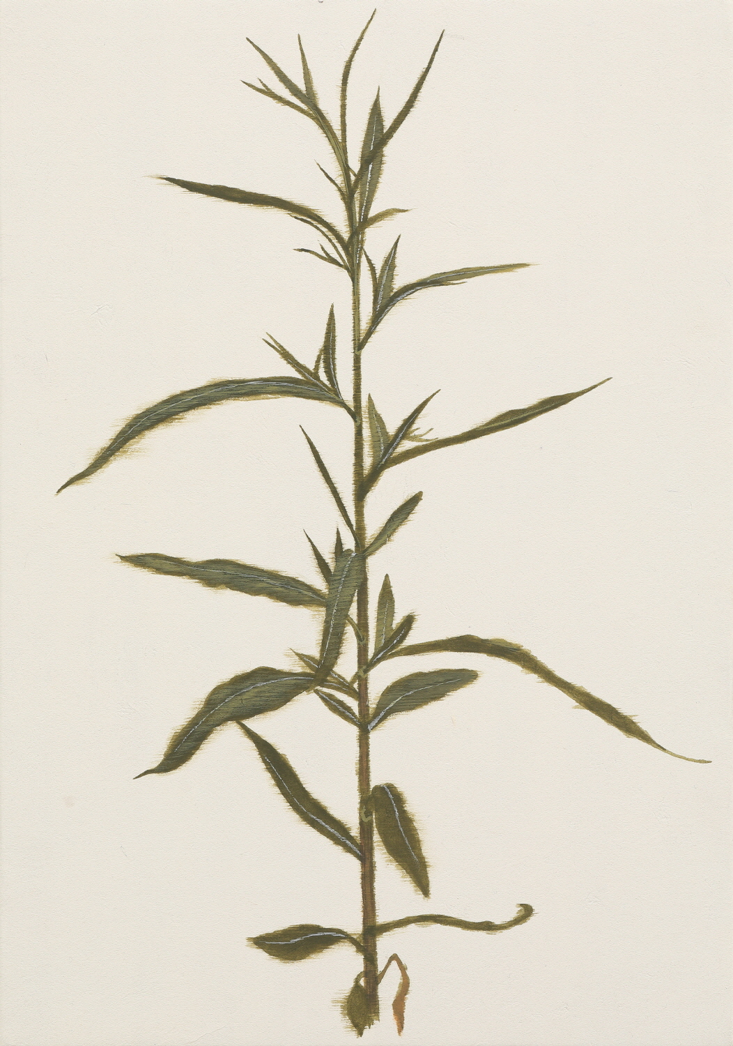 3F Gallery, M'cube 손승범, 발레리노 (A ballerino) 27.9×19cm 장지에 채색 2022
