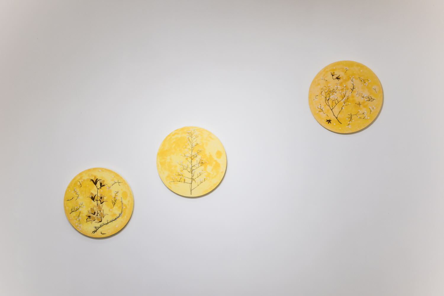 3F Gallery, M'cube 손승범, 정진, 전시전경